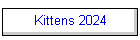 Kittens 2024