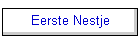 Eerste Nestje