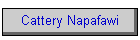 Cattery Napafawi