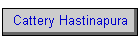 Cattery Hastinapura