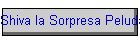 Shiva la Sorpresa Peluda