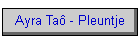 Ayra Ta - Pleuntje
